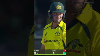 Australia All Fall of Wickets Against Pakistan Pace Attack PAKvAUS SportsCentral Shorts PCB MM2K [upl. by Nnybor225]