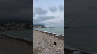 beach bluefish fishing gara italcanna maver surfcasting beach spigola mormore [upl. by Akitahs]