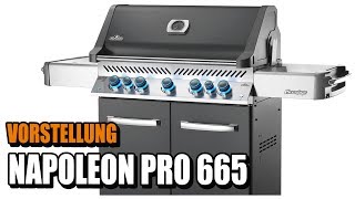 Napoleon Prestige 665  Ist der Gasgrill sein Geld wert [upl. by Levesque]