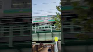 Train passing behind Autumn foliage [upl. by Xineohp761]