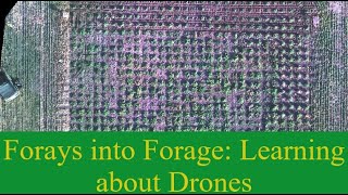 Using QGIS to Segment Orthomosaics and Extract Drone Data [upl. by Lyontine]