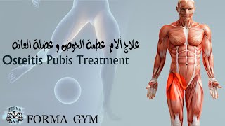 علاج عظمة الحوض وعضلة العانه Osteitis Pubis Treatment [upl. by Sinned139]