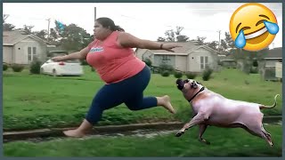 Full Video Try Not To Laugh Challenge 😂 ▶ LEVEL 15  Instant Regret Fails Compilation 2024 [upl. by Nus]