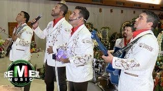 Los Liricos Jr  La guadalupana Serenata a la virgen de Guadalupe [upl. by Ojahtnamas]