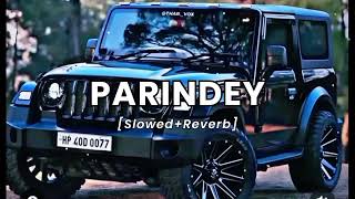 PARINDEY  Slowed  Reverb  Abreeq Alam [upl. by Emirej]