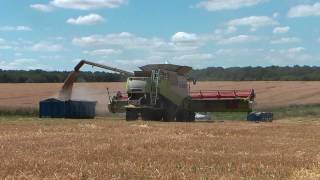 Moisson 2011 Claas Lexion 600 TerraTrac V1200  barley harvest [upl. by Adaj309]