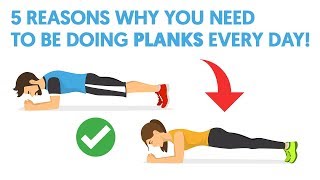 5 Reasons Why You Need To Be Doing Planks Every Day [upl. by Anujra917]