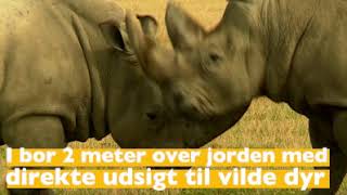 Overnat blandt VILDE dyr i Knuthenborg Safaripark [upl. by Ahsercel]