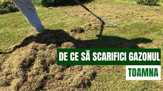 Știai că scarificarea gazonului făcută toamna e cea mai importantă Află de ce  semintegazonro [upl. by Pironi295]