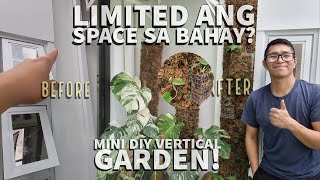 Gumawa Ako Ng Mini Vertical Garden For Less Than 500 Pesos  Idea Pag Limited Ang Space Sa Bahay [upl. by Nahsor]