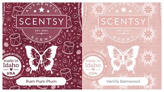 Tester Tuesday Rum Pum Plum and Vanilla Barnwood Scentsy Reviews [upl. by Vada]