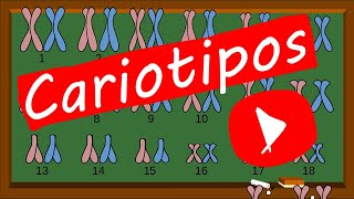 Tipos de CROMOSOMAS👨🏽‍🏫🧬🔬🧫 CARIOTIPO GENÉTICO  Te lo explico RÁPIDO y FÁCIL [upl. by Treborsemaj987]