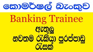 Latest commercial bank vacancies 2024  OL සහ AL ප්‍රමාණවත් [upl. by Draner]