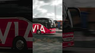 VYFOTIL JSEM AUTOBUSY SETRA📸🚗 photography panning [upl. by Ydnew]