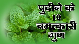 पुदीने के 10 चमत्कारी गुण  Benefits of Mint Leaves in Hindi [upl. by Canter]