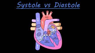 Animation E1 32 The cardiac cycle [upl. by Llewon]