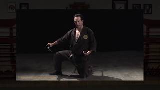 Ninjutsu Katana Shohatto Part2 Enshin Itto Ryu Battojutsu Shodan training [upl. by Ajiak]