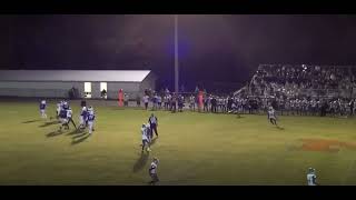 Jordan Ward Full Junior Season Highlights [upl. by Artiek41]