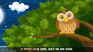 A Wise Old Owl with lyrics  Nursery Rhymes by EFlashApps [upl. by Arriaes77]