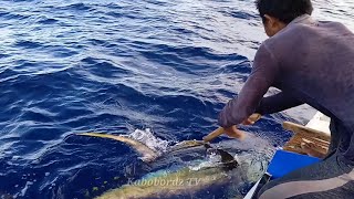 Paano manghuli ng Yellowfin Tuna  Traditional Handline Fishing [upl. by Cleopatre282]