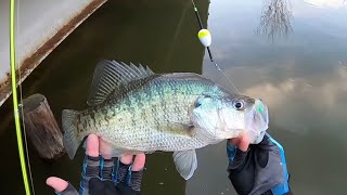 CRAPPIE Fishing With JIG amp BOBBER From The BANK‼️ CRAZY Double Jig Rig Action [upl. by Fayette191]