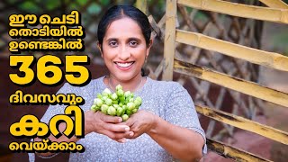 ഈ ചെടി തൊടിയിൽ ഉണ്ടെങ്കിൽ 365 ദിവസവും കറി വെയ്ക്കാംNithya Vazhuthana simple Thoran Recipe Malayalam [upl. by Midis959]