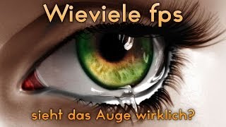 Wieviel fps sieht das Auge wirklich  Was sind FPS und Hz und wieviel brauche ich  Simon [upl. by Anahsor]