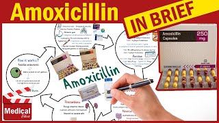 Amoxicillin 500mg Capsule What is Amoxicillin Used For Dosage Contraindications amp Precautions [upl. by Airym559]