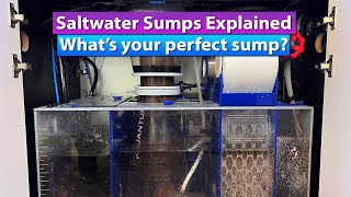 Saltwater Aquarium Sump explained  Whats your perfect sump [upl. by Ereveniug]