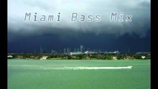 Leeroy Thornhill  Miami Bass Mix [upl. by Korenblat]