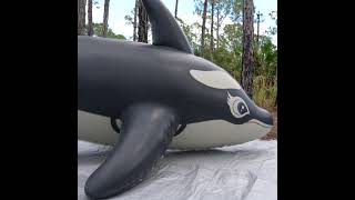 Rubber Whale in Slow Motion [upl. by Hyacinthe]