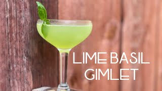 LIME BASIL GIMLET  Another reason we love gin cocktails [upl. by Selda]