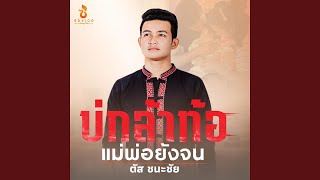 บ่กล้าท้อ แม่พ่อยังจน [upl. by Grube]