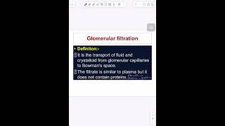 Glomerular filtration rate GFR شرح المستوى الثاني طب renal system [upl. by Colby]