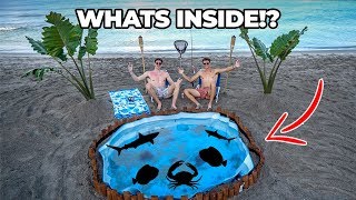 600 GALLON BEACH POND what’s inside [upl. by Ylrevaw]