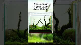 Transformasi Aquascape dalam 30 detik aquascape fishtank fish [upl. by Castillo462]