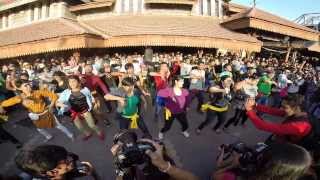 Yaariyans Flash Mob 2014 [upl. by Len170]