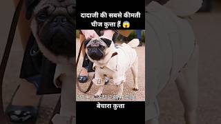 यह कुत्ता दादी की सबसे कीमती चीज हैं 😱  short anime cartoon dog [upl. by Winni]