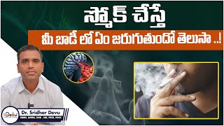 How Smoking Affects Your Body  Side Effects of Smoking Cigarettes in Telugu  Dr Devu [upl. by Refinnej]