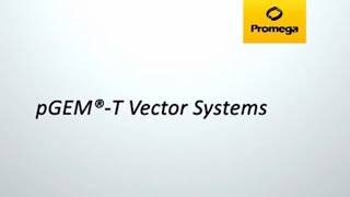 pGEMT Vector Systems Video [upl. by Leshia]