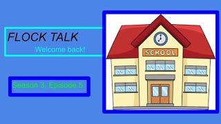 Flock Talk Season 3 Episode 5 [upl. by Innek]