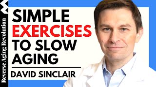 DAVID SINCLAIR “Simple Exercises To Slow Aging”  Dr David Sinclair Interview Clips [upl. by Dorr]