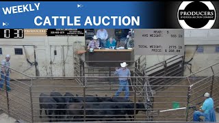 7252024  Producers Livestock Auction Company  Cattle Auction [upl. by Tabitha]