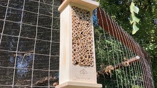 Adding a Bee House to the garden Learning about Mason Bees [upl. by Dolan]