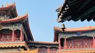 Discovering Beijings Spiritual Gem Exploring Yonghegong Lama Temple  April 6th 2024 Vlog [upl. by Norrag]