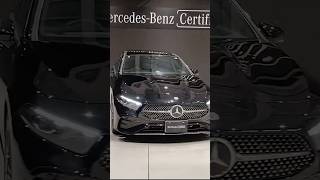 What Makes the Mercedes EXCELLENCE So VIRAL [upl. by Jegar]