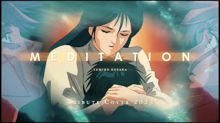 MEDITATION  Tekkaman Blade  tribute cover 2023 [upl. by Cassandre]