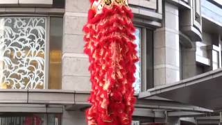 2013 Chinese New Year Lion Dance at Hong Kong [upl. by Notac]