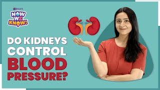 How Do Kidneys Maintain amp Regulate Blood Pressure In Human Body  BYJUS Now We Know [upl. by Ijic]