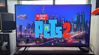 The Secret Life Of Pets End Credits Freeform 2022 [upl. by Delfine]